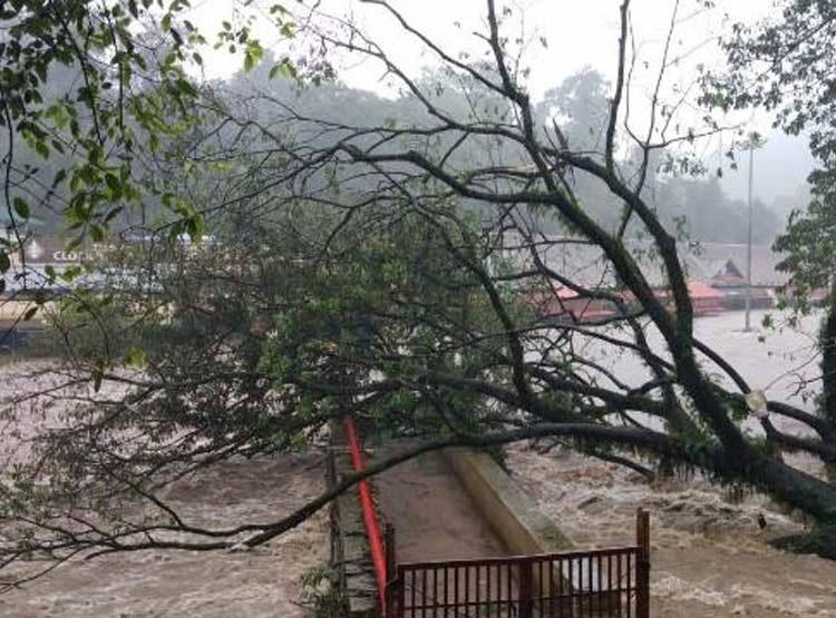 केरल में बाढ़-बारिश से 73 की मौत, तमिलनाडु-कर्नाटक में भी अलर्ट