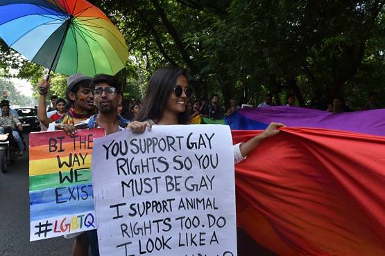 साउथ एशिया का पहला LGBTQ कोर्स लॉन्‍च, गे प्र‍िंस ने किया डिजाइन