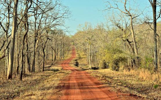 इन कमांडो से थरथर कांपते हैं नक्‍सली, अब मोदी सरकार ने की तारीफ