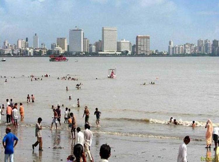 सावधान! मुंबई में समुद्र किनारे आई ये जहरीली मछली, 20 हुए शिकार