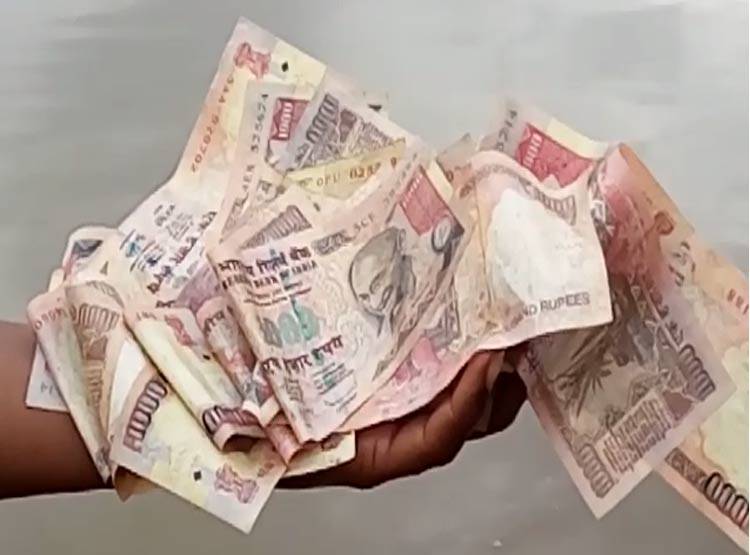 नर्मदा में बहते मिले 500-1000 के पुराने नोट, लूट की मची होड़