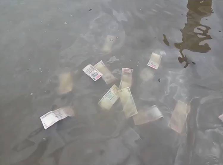 नर्मदा में बहते मिले 500-1000 के पुराने नोट, लूट की मची होड़