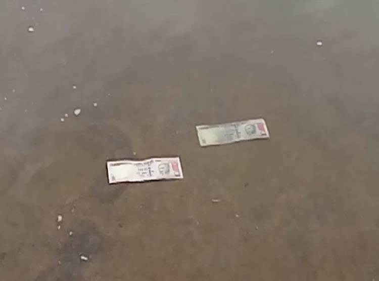 नर्मदा में बहते मिले 500-1000 के पुराने नोट, लूट की मची होड़
