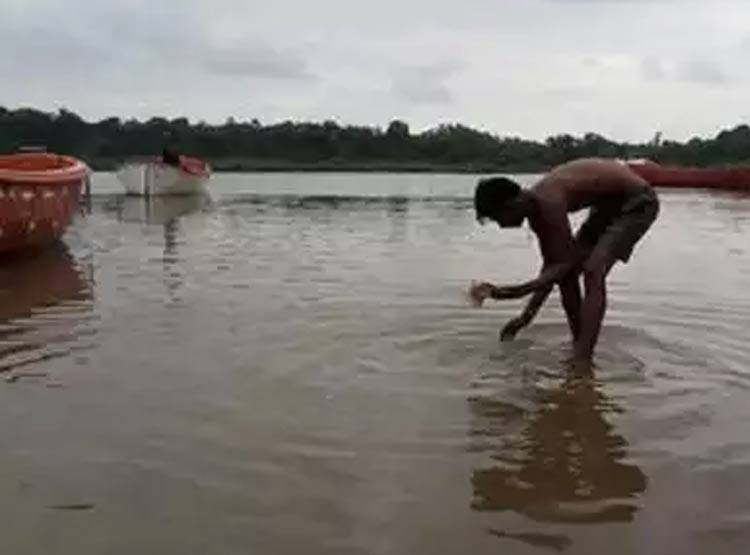 नर्मदा में बहते मिले 500-1000 के पुराने नोट, लूट की मची होड़