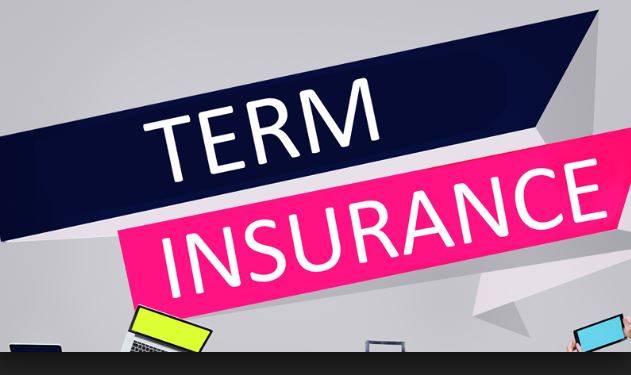 HDFC लाइफ का अपडेट टर्म प्लान, पहली बार पॉलिसी में ये 2 फायदे