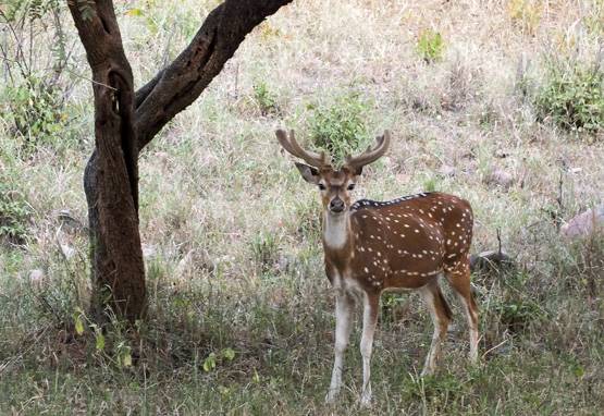 वीकेंड पर दिल्लीवासियों के लिए घूमने की ये जगह हैं सबसे बेस्ट
