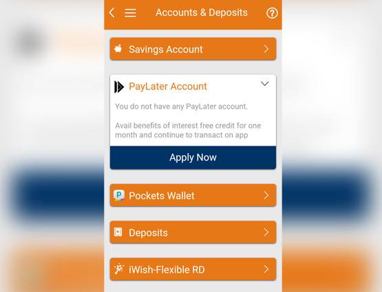 PayLater: ICICI से बिना ब्याज के लें पैसे, 30 दिन बाद चुकाएं