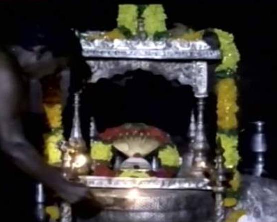 इस राज्य में सर्पदंश से खौफ में सरकार, करा रही है 'सर्प यज्ञ'