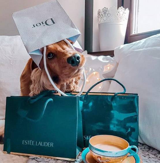 फनी PHOTOS: शॉपिंग बैग के साथ ऐसे क्लिक क्यों कर रहे हैं लोग?