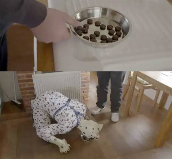 समलैंगिकता छोड़िए, यहां जानवरों-पेड़ों से सेक्स का अधिकार मांग रहे लोग!