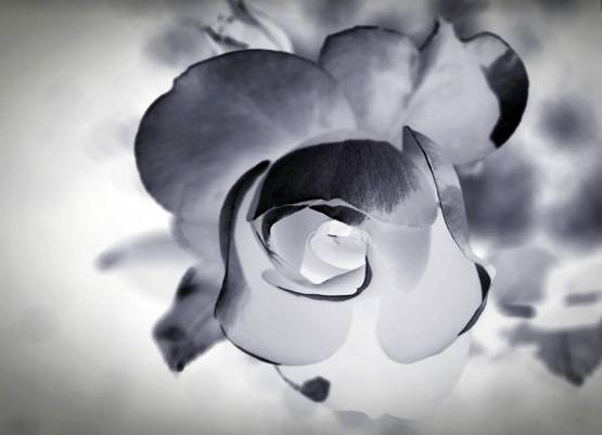 आपके दिमाग में भी है डिलीट बटन, निकाल फेंकिए बुरी यादें