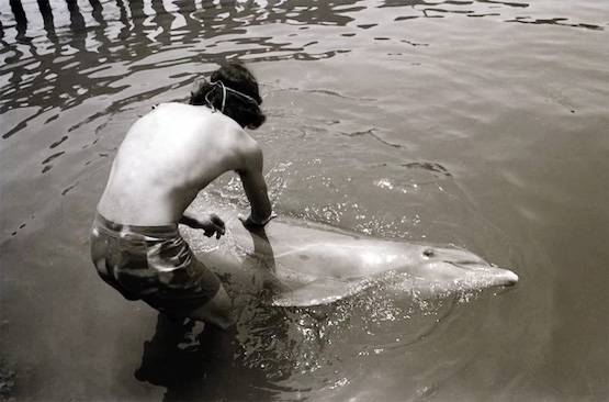 समलैंगिकता छोड़िए, यहां जानवरों-पेड़ों से सेक्स का अधिकार मांग रहे लोग!