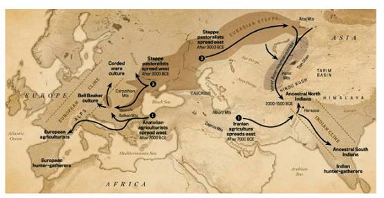 कितना पुराना हिंदुओं का इतिहास? अस्थियों के DNA से खुलेगा राज