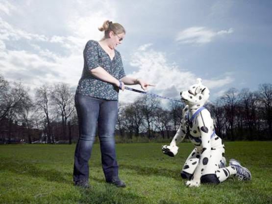 समलैंगिकता छोड़िए, यहां जानवरों-पेड़ों से सेक्स का अधिकार मांग रहे लोग!