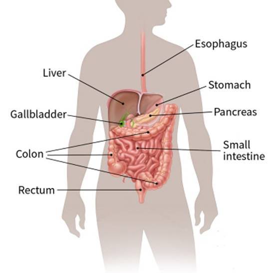 शरीर के इस हिस्से में होता है दर्द तो हो सकता है कैंसर!