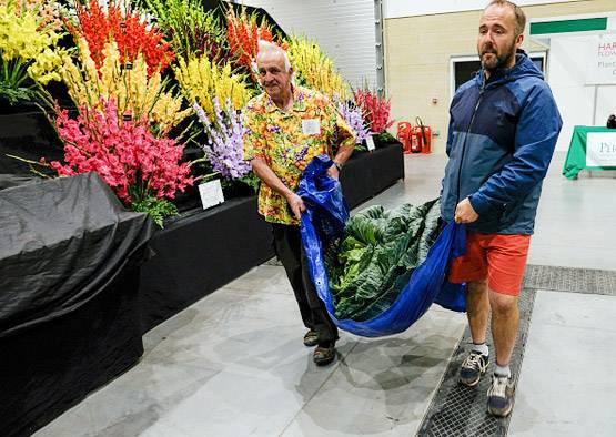 उगाई 30 किलो की 1 गोबी, लोग बोले- इस किसान के हाथ में जादू है