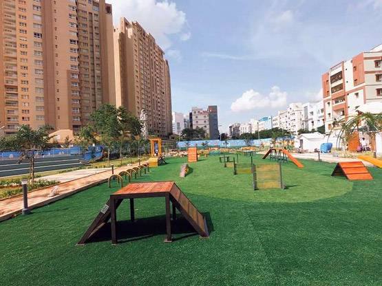 ऐसा है देश का पहला डॉग पार्क, जानें- यहां क्या होगा खास?