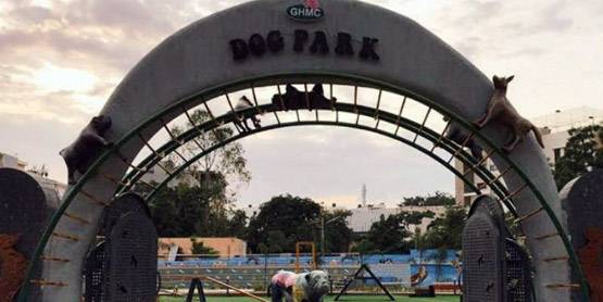 ऐसा है देश का पहला डॉग पार्क, जानें- यहां क्या होगा खास?