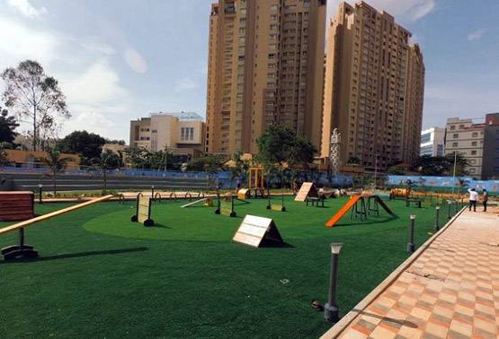 ऐसा है देश का पहला डॉग पार्क, जानें- यहां क्या होगा खास?