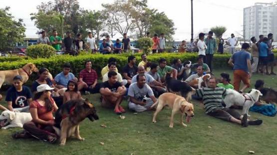 ऐसा है देश का पहला डॉग पार्क, जानें- यहां क्या होगा खास?