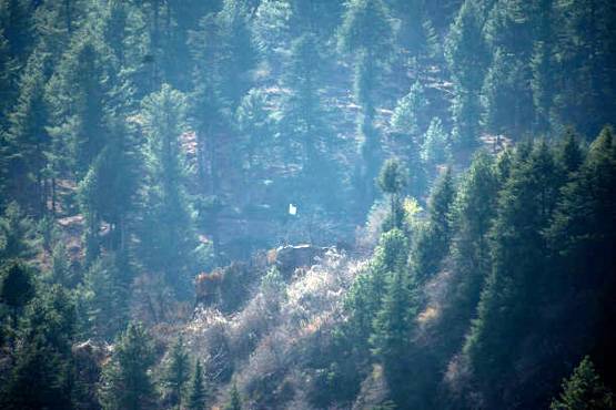 दूसरे सर्जिकल स्ट्राइक की हुंकार से डरा PAK, मोर्टार तैनात