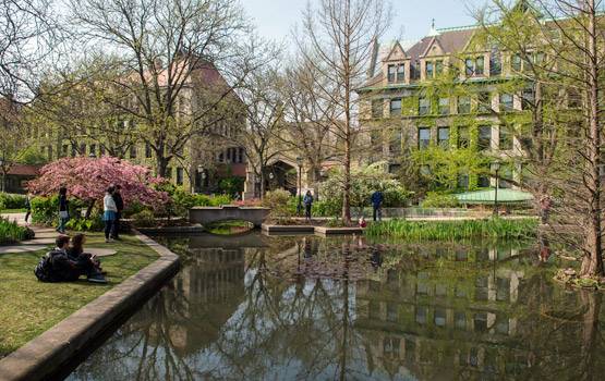 Times World University Ranking: ये हैं दुनिया की टॉप 10 यूनिवर्सिटी