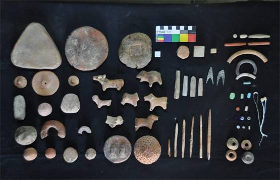 कितना पुराना हिंदुओं का इतिहास? अस्थियों के DNA से खुलेगा राज