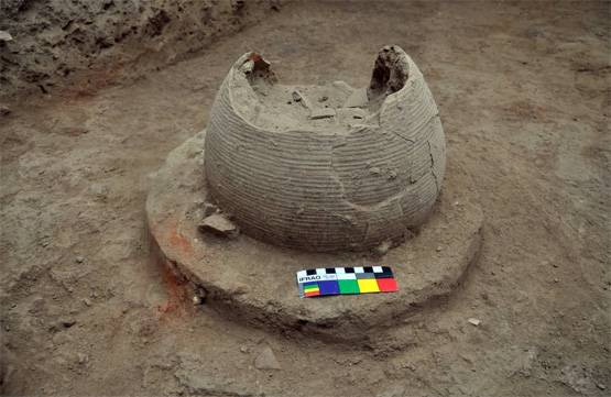 कितना पुराना हिंदुओं का इतिहास? अस्थियों के DNA से खुलेगा राज