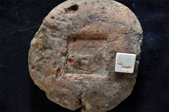 कितना पुराना हिंदुओं का इतिहास? अस्थियों के DNA से खुलेगा राज