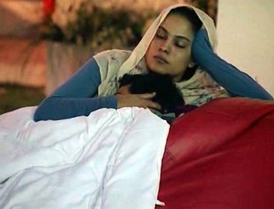 Bigg boss में इन कपल्स ने किया था खुल्लम खुल्ला प्यार