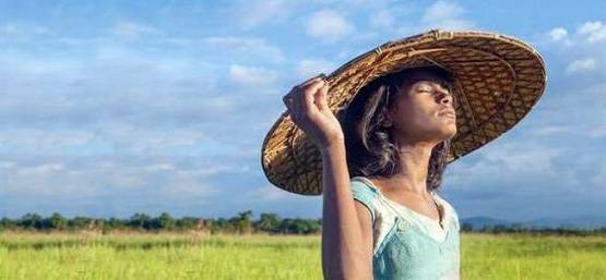 राजी-पद्मावत को पछाड़ विलेज रॉकस्टार की Oscars में एंट्री