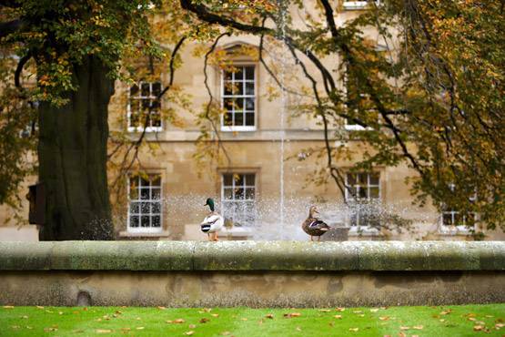 Oxford में ऐसे मिलता है दाखिला, फ्री में भी होती है पढ़ाई