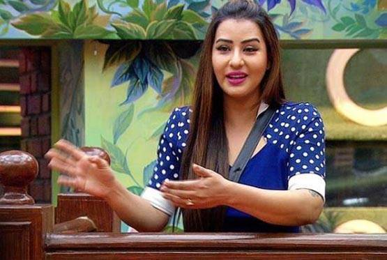 Bigg Boss विनर शिल्पा शिंदे को मिली पहली फिल्म, ये है कहानी