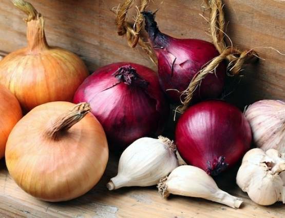 जानें, नवरात्र में क्यों होती है लहसुन-प्याज खाने की मनाही