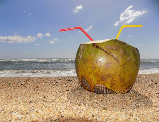 इस एक चीज से तेजी से घटता है वजन, डाइट में जरूर करें शामिल