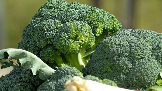 डाइट में शामिल करें ये 8 चीजें, ब्रेस्ट कैंसर का खतरा होगा दूर!