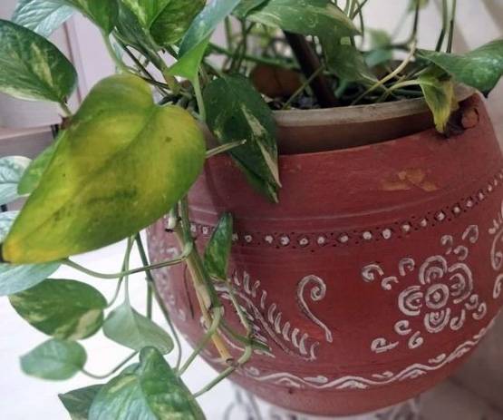 Diwali 2018: पुरानी चीजों से सजाकर अपने घर को दें नया लुक....