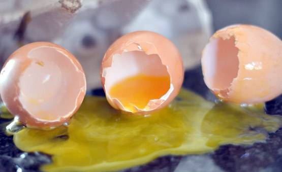 कमाल का है ये 'अंडे का तेल', करेगा बालों की हर समस्या को दूर