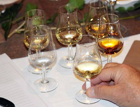 महाराजा भूपिंदर ने शुरू किया था 'पटियाला पैग', रखते थे 365 रानियां