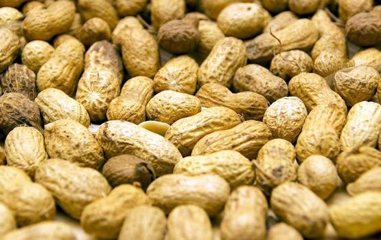 सर्दियों में मूंगफली खाने के 10 हैरान करने वाले फायदे