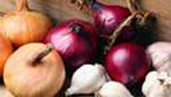 जानें, नवरात्र में क्यों होती है लहसुन-प्याज खाने की मनाही