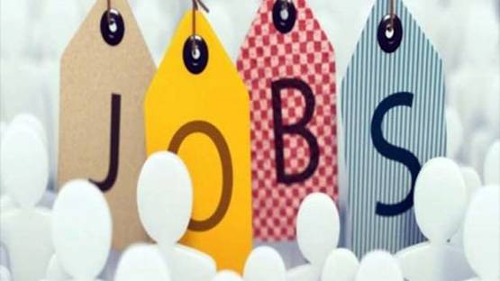 ऑफिस अटेंडेंट और ड्राइवर के पदों पर भर्ती, सैलरी 50 हजार से ज्यादा