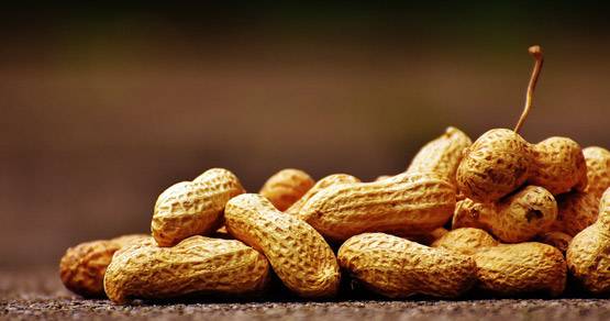 सर्दियों में मूंगफली खाने के 10 हैरान करने वाले फायदे