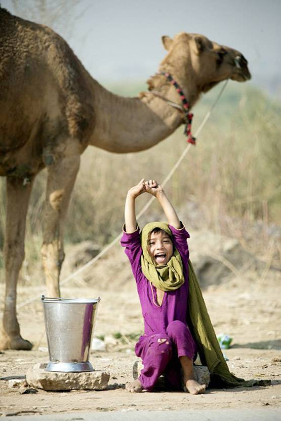 PM ने की थी तारीफ, दिवाली पर लॉन्च होगा ऊंट का फ्लेवर्ड दूध