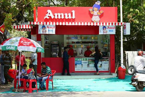 PM ने की थी तारीफ, दिवाली पर लॉन्च होगा ऊंट का फ्लेवर्ड दूध