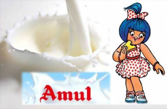 PM ने की थी तारीफ, दिवाली पर लॉन्च होगा ऊंट का फ्लेवर्ड दूध