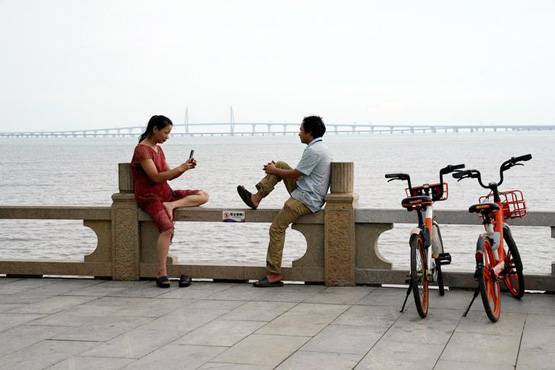 ये हैं दुनिया के 5 सबसे लंबे पुल, जिनमें से 4 अकेले हैं चीन में