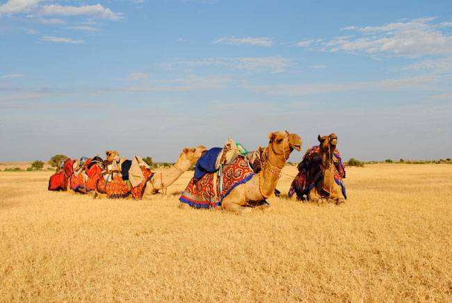 अक्टूबर-नवंबर में छुट्टियां ही छुट्टियां, ये हैं घूमने की 15 जगह