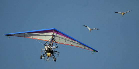 आम राजनेता जैसे नहीं पुतिन, देखें HE-MAN लुक की 30 चर्चित तस्वीरें