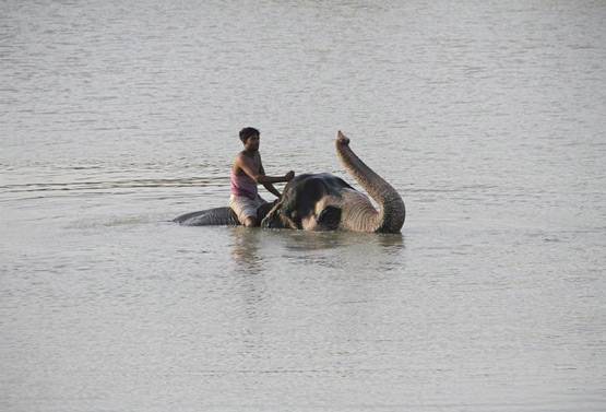 ये है राजस्थान के जयपुर के पिंक सिटी बनने की कहानी